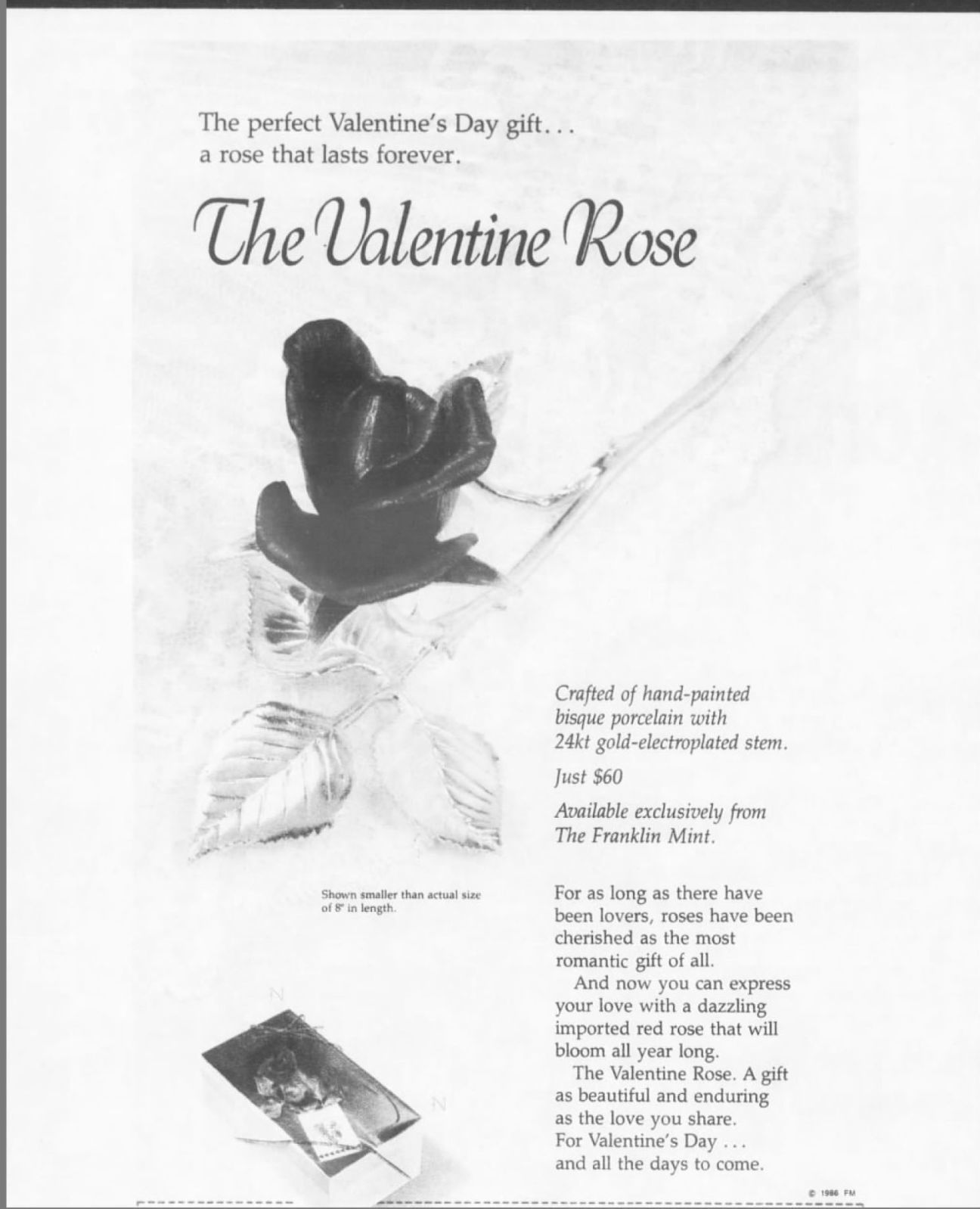 The Valentine Rose